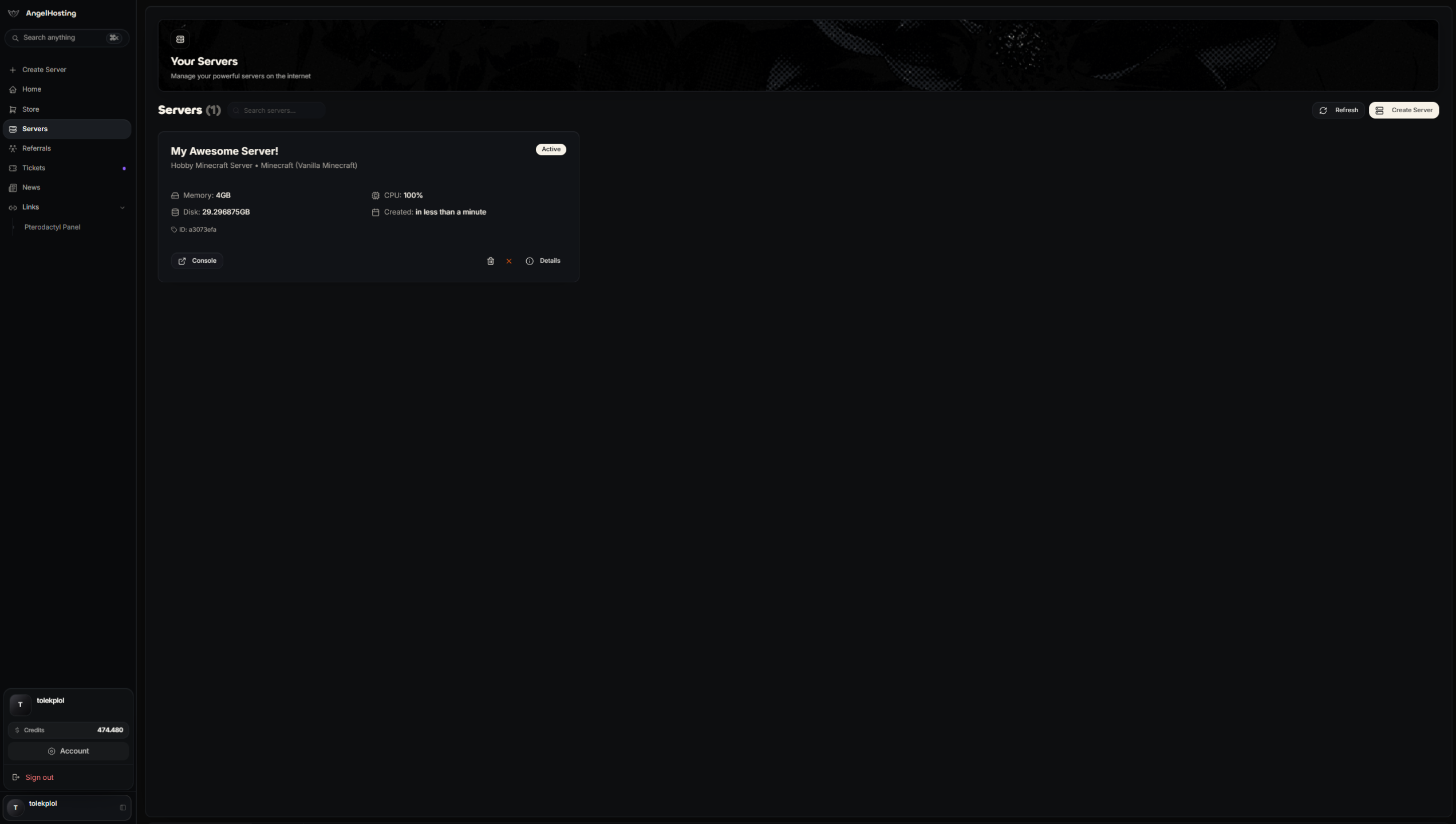 AngelHosting client area showing a live server overview with resource usage, console access and account credits